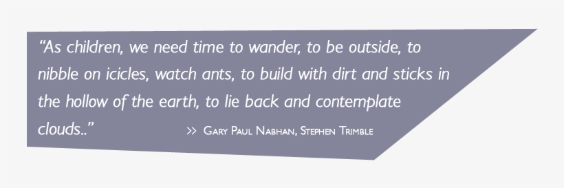 Carousel Citykids Overlay Outdoor - Parallel, transparent png