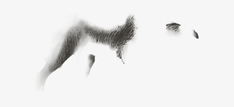 Snow, transparent png