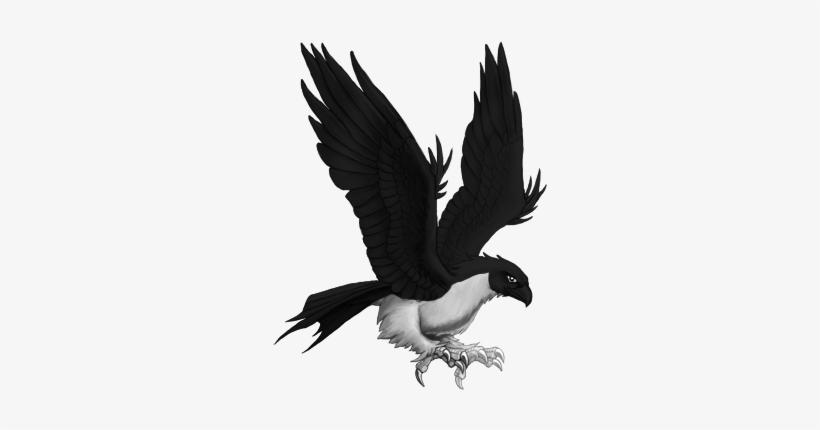 To Make Sure That Your Monitor Contrast Is Calibrated - Buzzard, transparent png