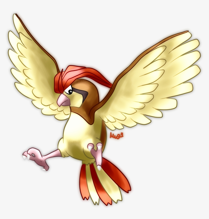 Image - Pidgeotto, transparent png