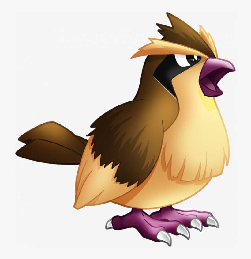 You - Pidgey Pokemon Png, transparent png