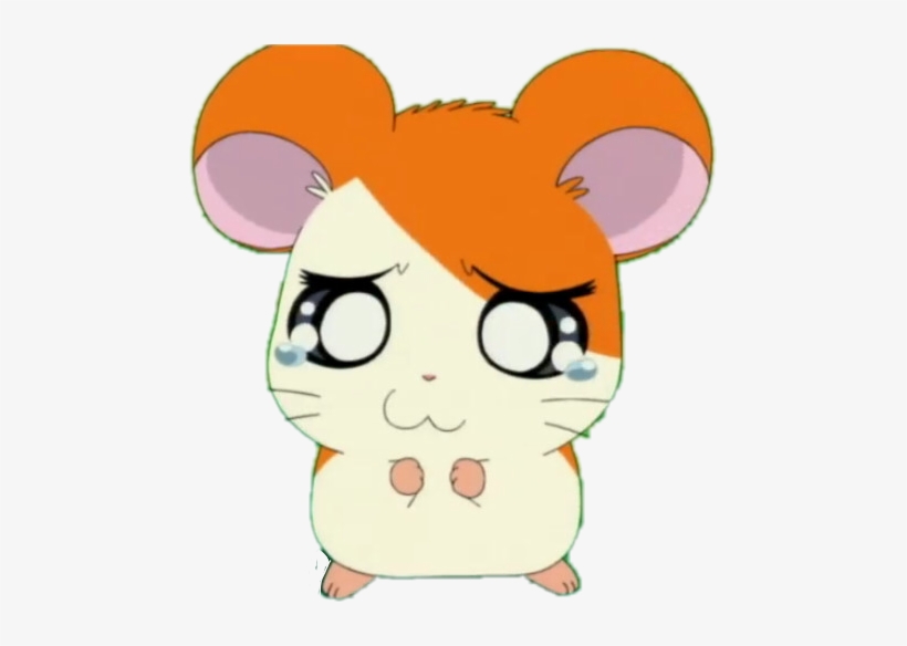 Line Hamtaro Stickers, transparent png