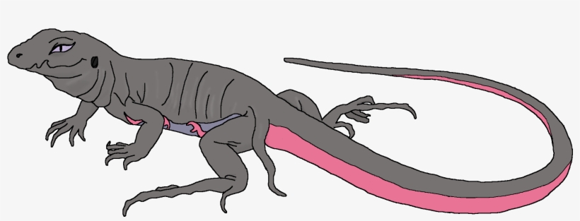 Salazzle - Portable Network Graphics, transparent png