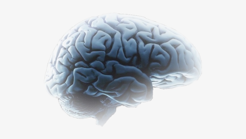 Illustration, transparent png