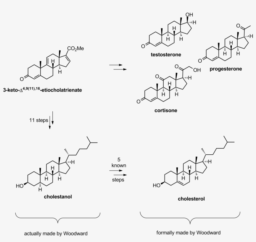 1 - Cortisone Testosterone, transparent png