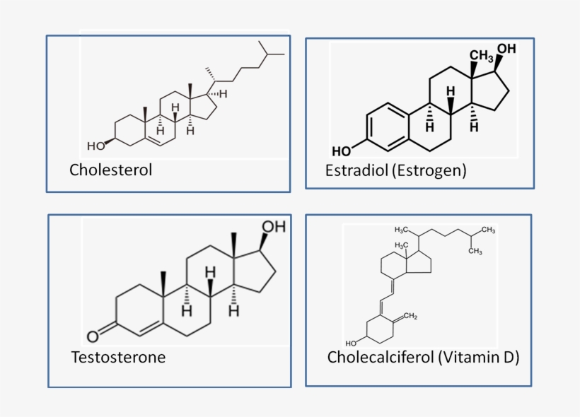 This Is To Say That Cholesterol Is The Base Steroidal - Great Testosterone Myth By Aniruddha Railkar Phd 9781534709409, transparent png