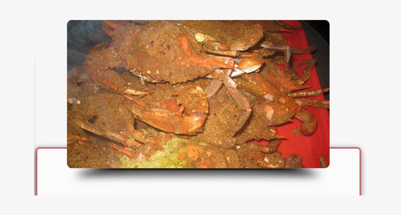 Dungeness Crab, transparent png
