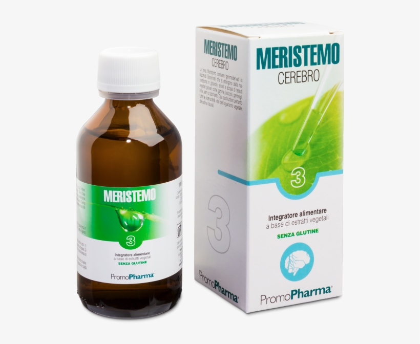 Meristemo 03 Cerebro - Lymph, transparent png