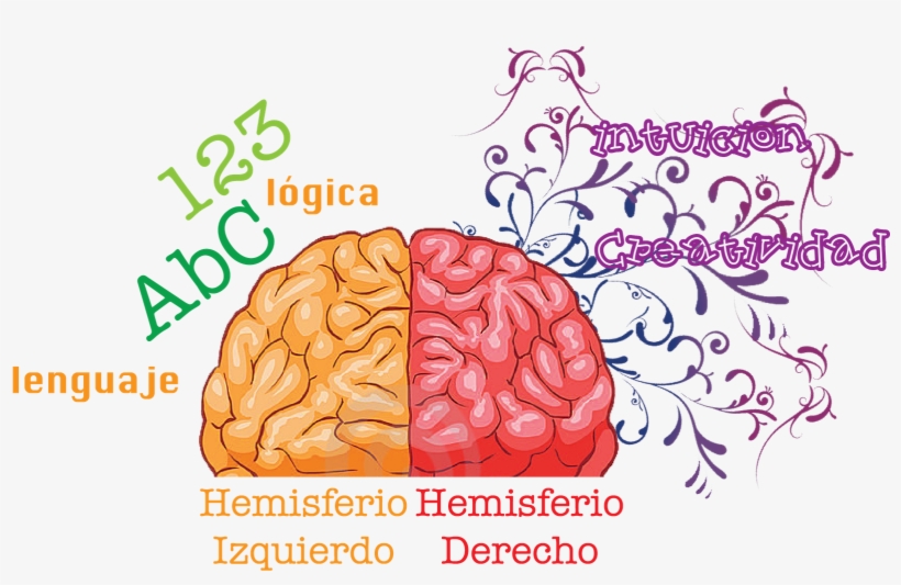 Posicionamiento Web Asturias - Human Brain, transparent png
