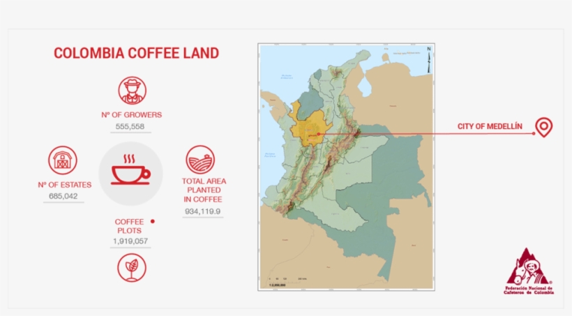 Stats About Coffee Production In Colombia - Coffee Grown In Colombia, transparent png