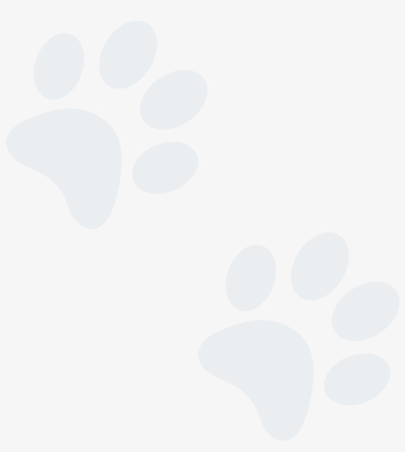 Blueprints - Circle, transparent png