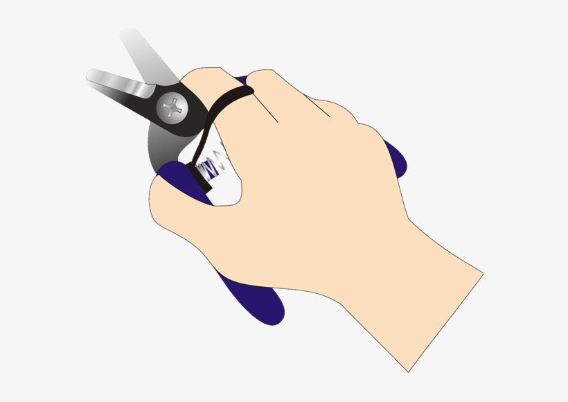 Producto1 - Tijeras Para Cortar Uvas, transparent png