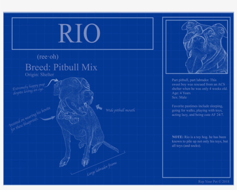 Personalized Blueprints Of Your Pet - Montature Occhiali Da Vista Uomo, transparent png
