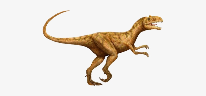 Dinosaur Png - You See Two Things, transparent png