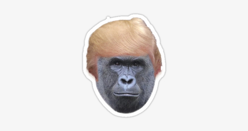 Harambe Trump - Unwelcomegreetings Harambe The Gorilla Mask By Rapmasks, transparent png