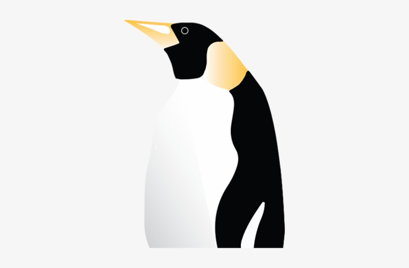Penguin, transparent png