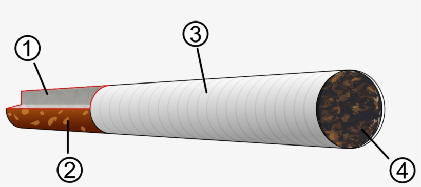 Cigarette Clipart Cigrate - Diagram Of A Cigarette, transparent png