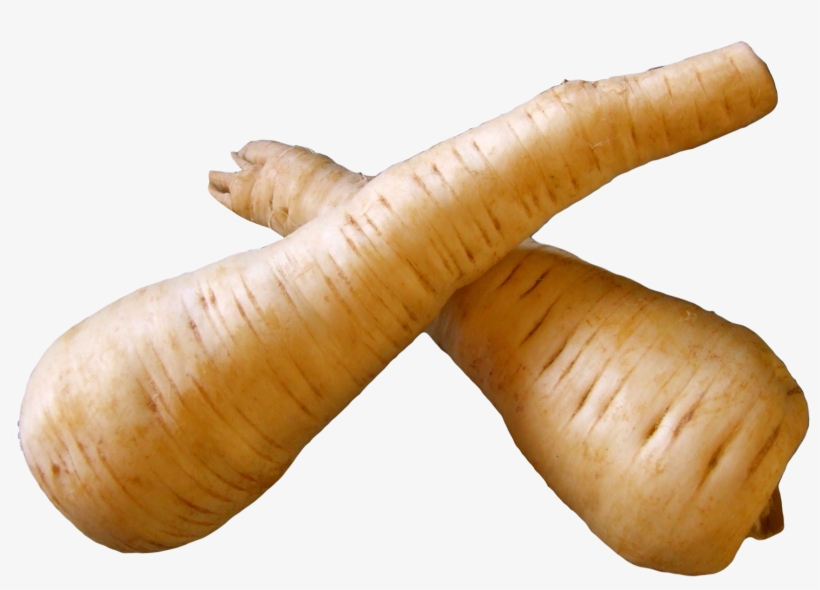 Fresh Parsnip Root Png Free Images Toppng - Parsnip Png, transparent png