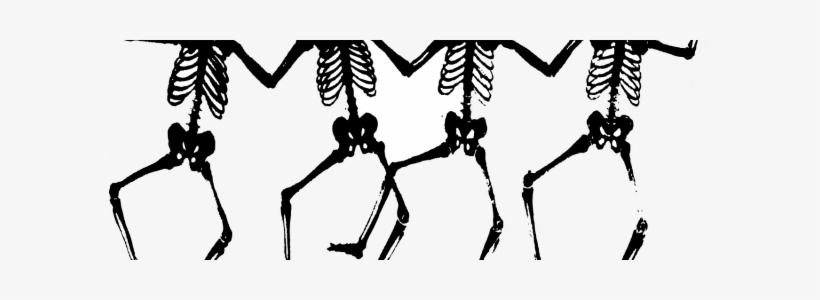 13 Bizarre And Outlandish Cures For The Medieval Black - Skeleton, transparent png