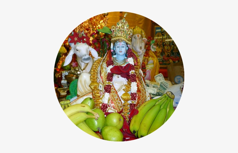 Service-bg - Portfolio, transparent png