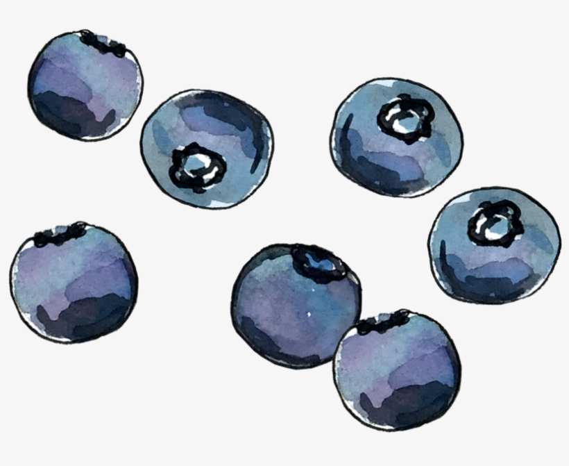 Blueberry June2018 Lyndsay - Portable Network Graphics, transparent png