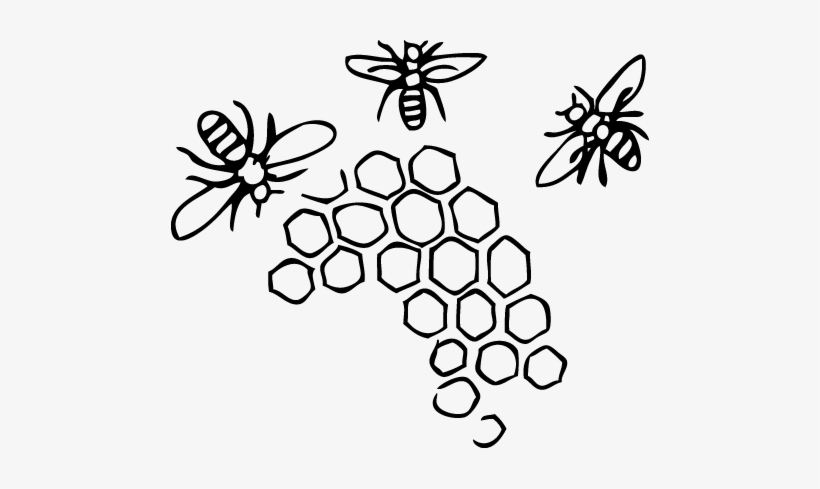 Raw-honey, transparent png