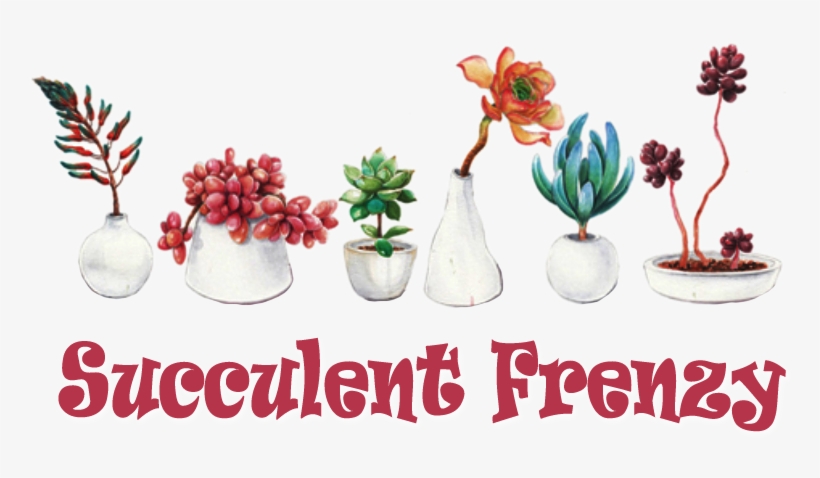 Welcome To Succulent Frenzy Online Store Welcome To - Fresh And Colorful Hand-painted Potted Plants Succulents, transparent png