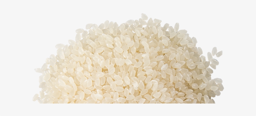 Calrose-rice - Grain Of Rice Transparent, transparent png