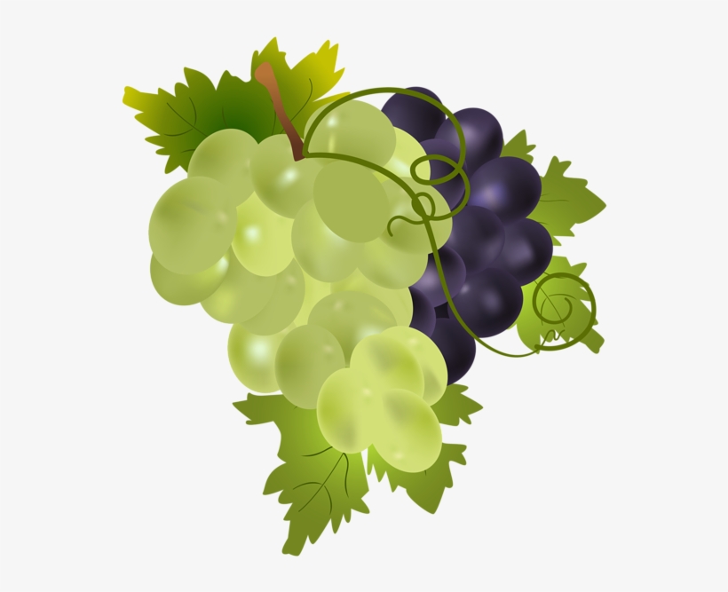 Grapes Png Clip Art Image - Grapes Png, transparent png