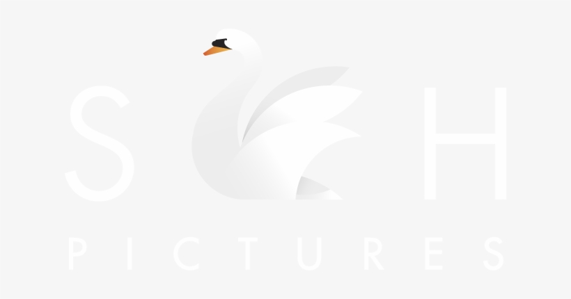 Shivhans Pictures - Goose, transparent png