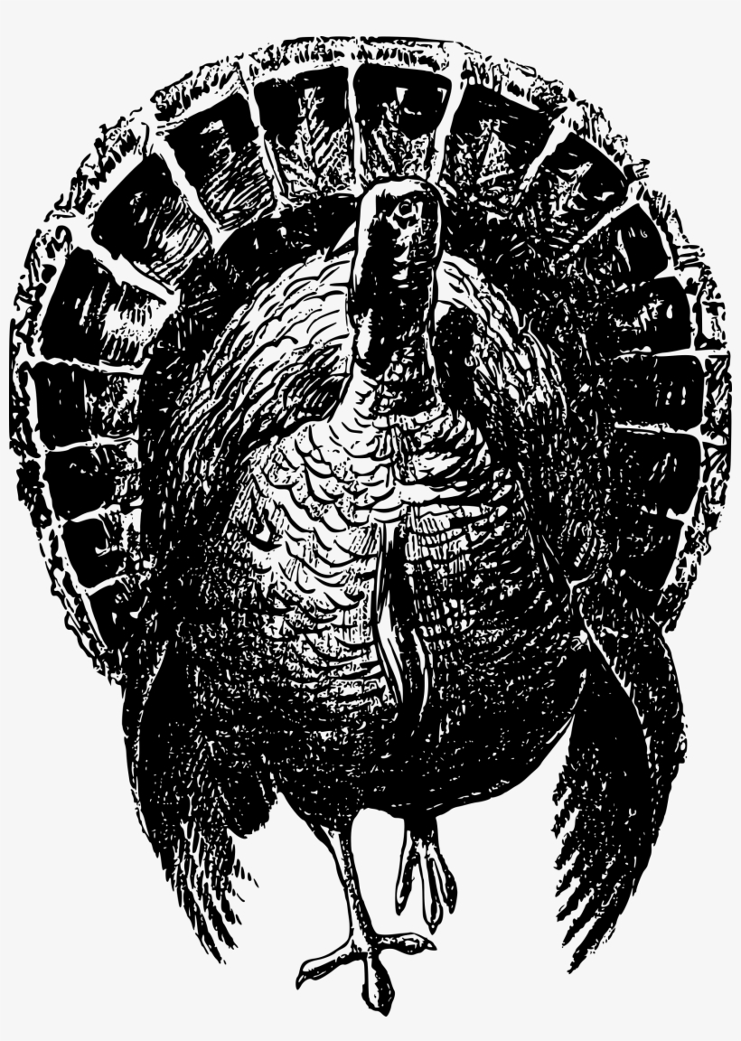 This Free Icons Png Design Of Nobel Turkey, transparent png