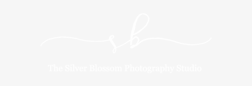 Aj Styles Meet And Greet - Crowne Plaza White Logo, transparent png