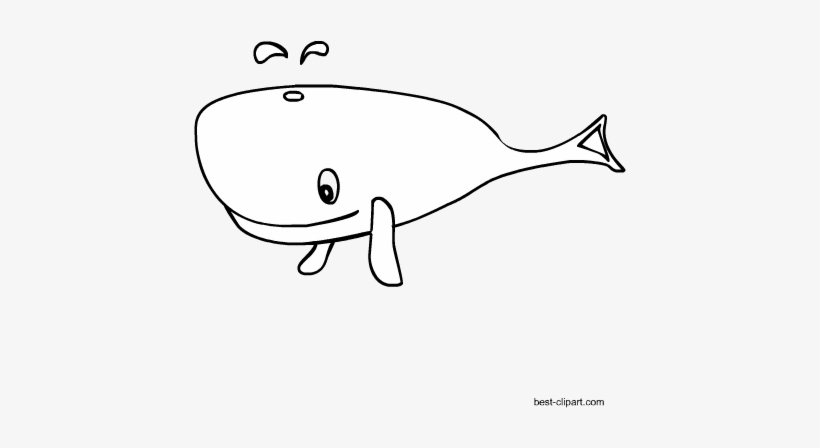 Black And White Cartoon Whale Clip Art - Cartoon, transparent png