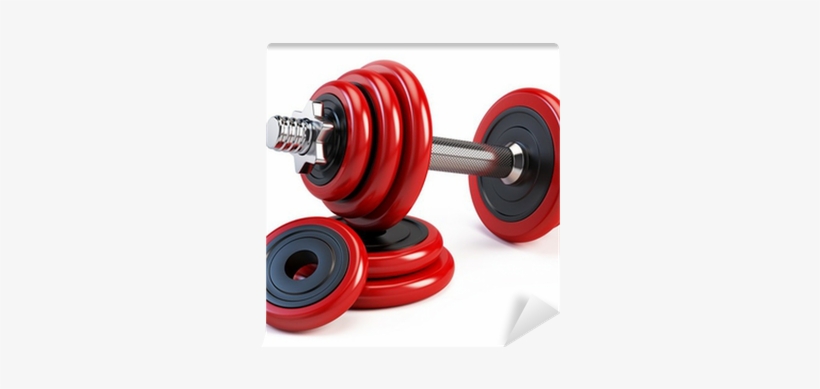City Gyms: When Passion And Jealousy Collide ... Anything, transparent png