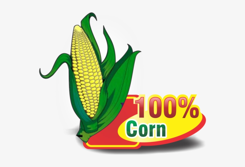 Cartoon Corn Png, Vectors, Psd, And Clipart For Free - 100% Maiz Logo, transparent png