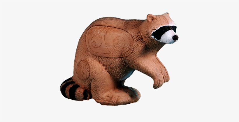 Raccoon - Rinehart Targets Rinehart Raccoon 3-d Foam Archery, transparent png