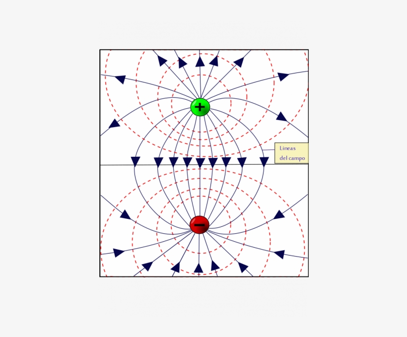 Lineas De Campo Y Equipotencial Por Dos Cargas - Circle, transparent png