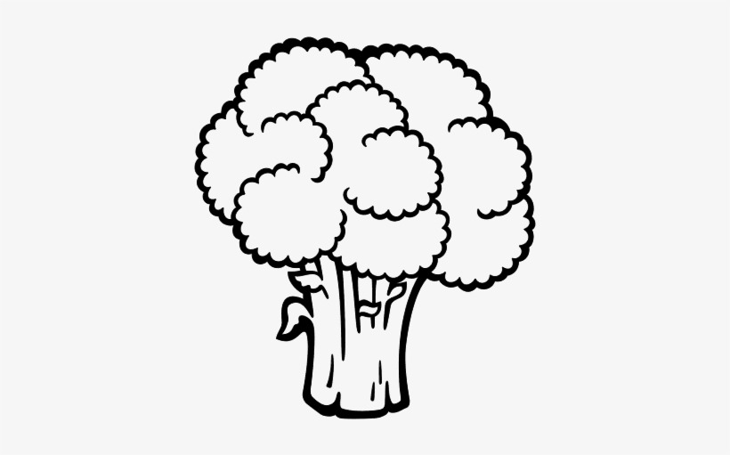 Broccoli Drawing Clipart Black And White Broccoli Clip Art 600x470