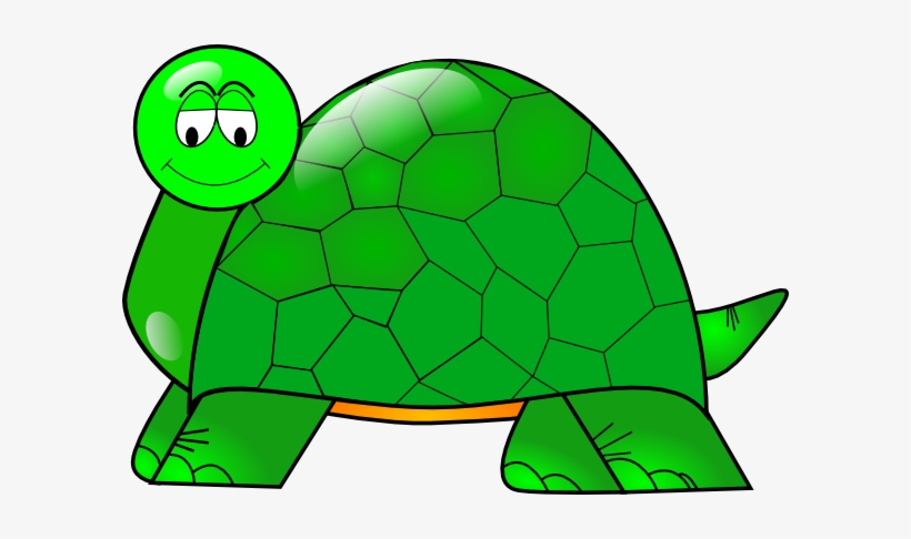 Turtle Png, transparent png