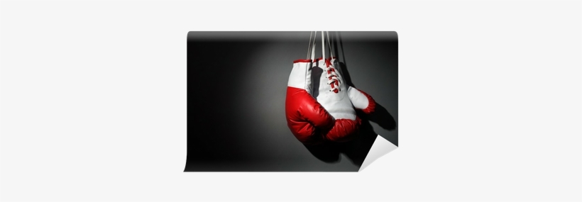 Png - Boxing Gloves Shower Curtain, transparent png