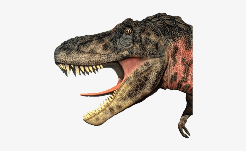 Dinosaur Png Image - Bright Day Calendars 2018 Dinosaurs Wall Calendar, transparent png