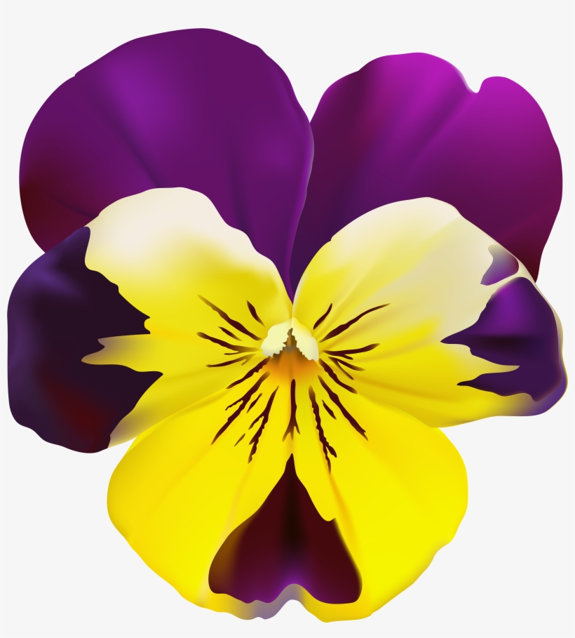 Purple And Yellow Flower Png, transparent png