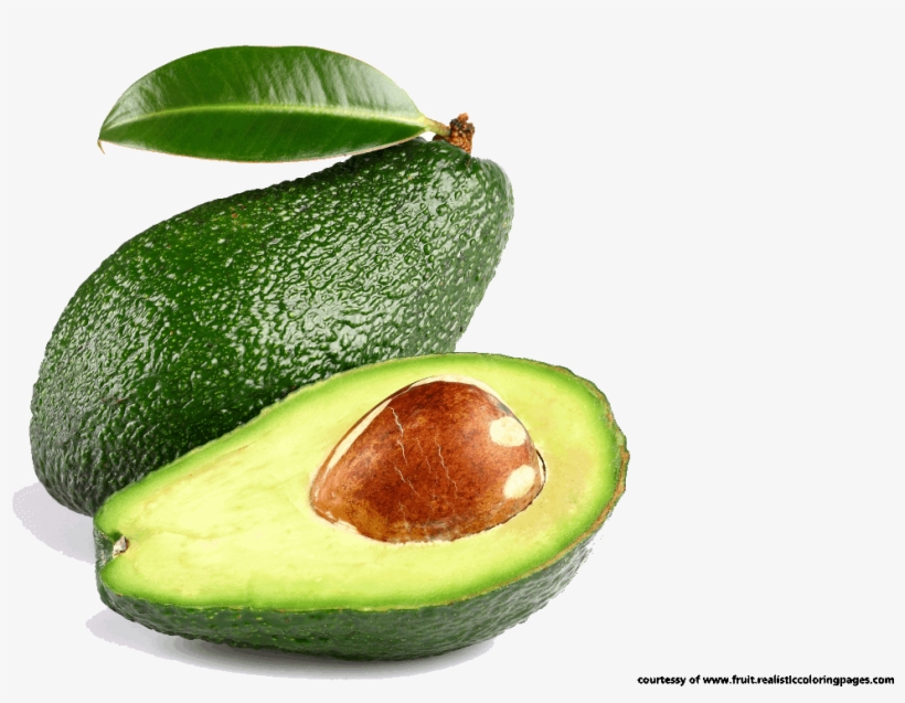 Avocado Tree Clipart Black And White Techflourish Collections - Clipart Avocado Png Avocado, transparent png