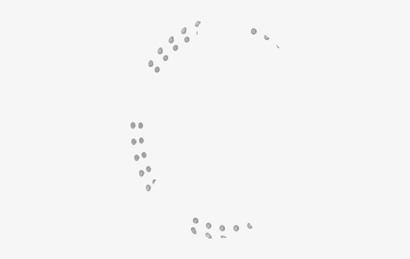 Bolts - Circle, transparent png