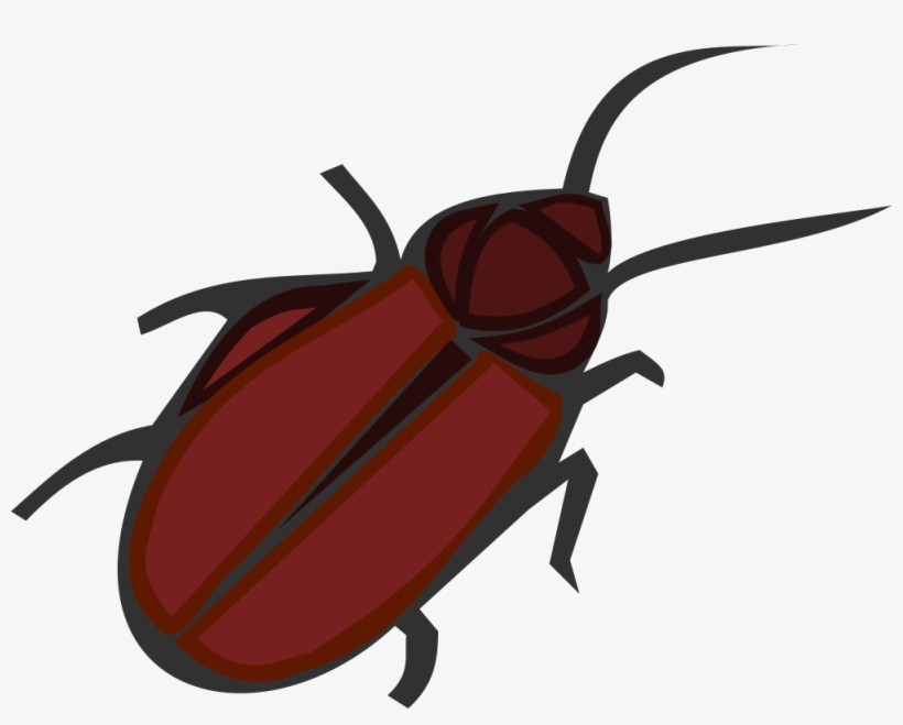 Kêber, Cucaracha, Cucaracha - Cucaracha Caricatura Png, transparent png