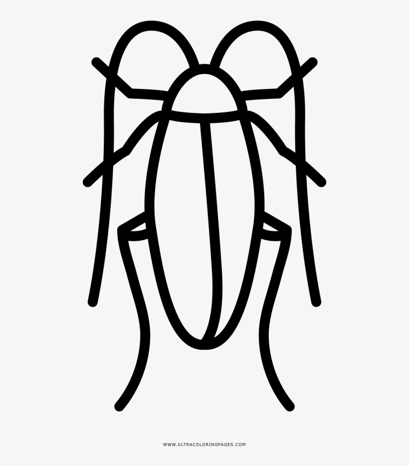 Cucaracha Página Para Colorear - Dibujos Para Colorear De Un Cucaracha, transparent png