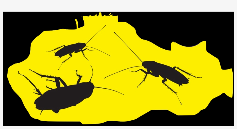 “las Cucarachas Son Insectos Nocturnos Y Se Esconden - Panic, transparent png