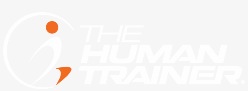 Human Trainer Icon - Human Trainer X-50 Agility X-training Kit (includes:, transparent png