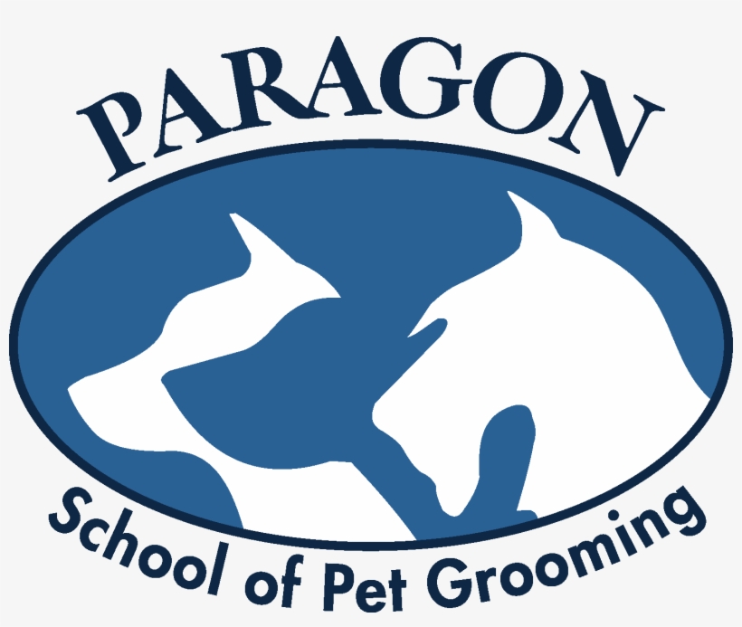 Paragon Logo Web - National Cat Groomers Institute Of America, transparent png