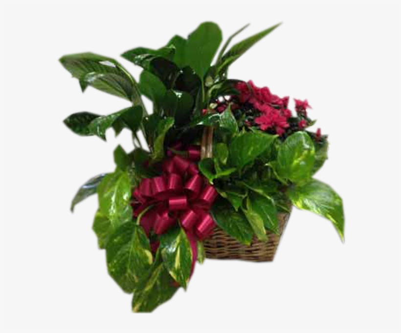 Azalea In The Garden - Artificial Flower, transparent png